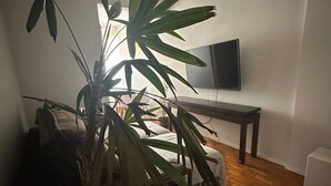 Una sala de estar con una planta grande en maceta, un sofá, una mesa de centro, un televisor sobre un mueble bajo y un armario pequeño blanco.