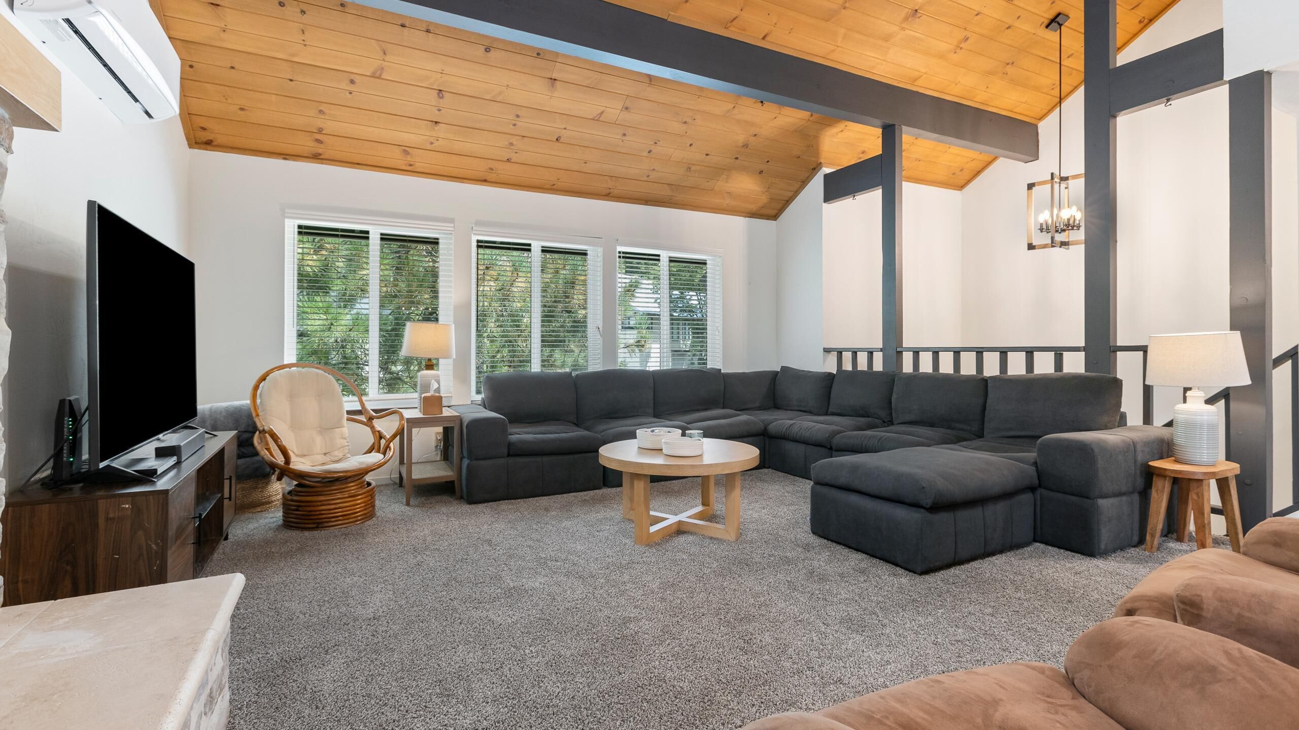 TV, fireplace, books