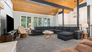 TV, fireplace, books