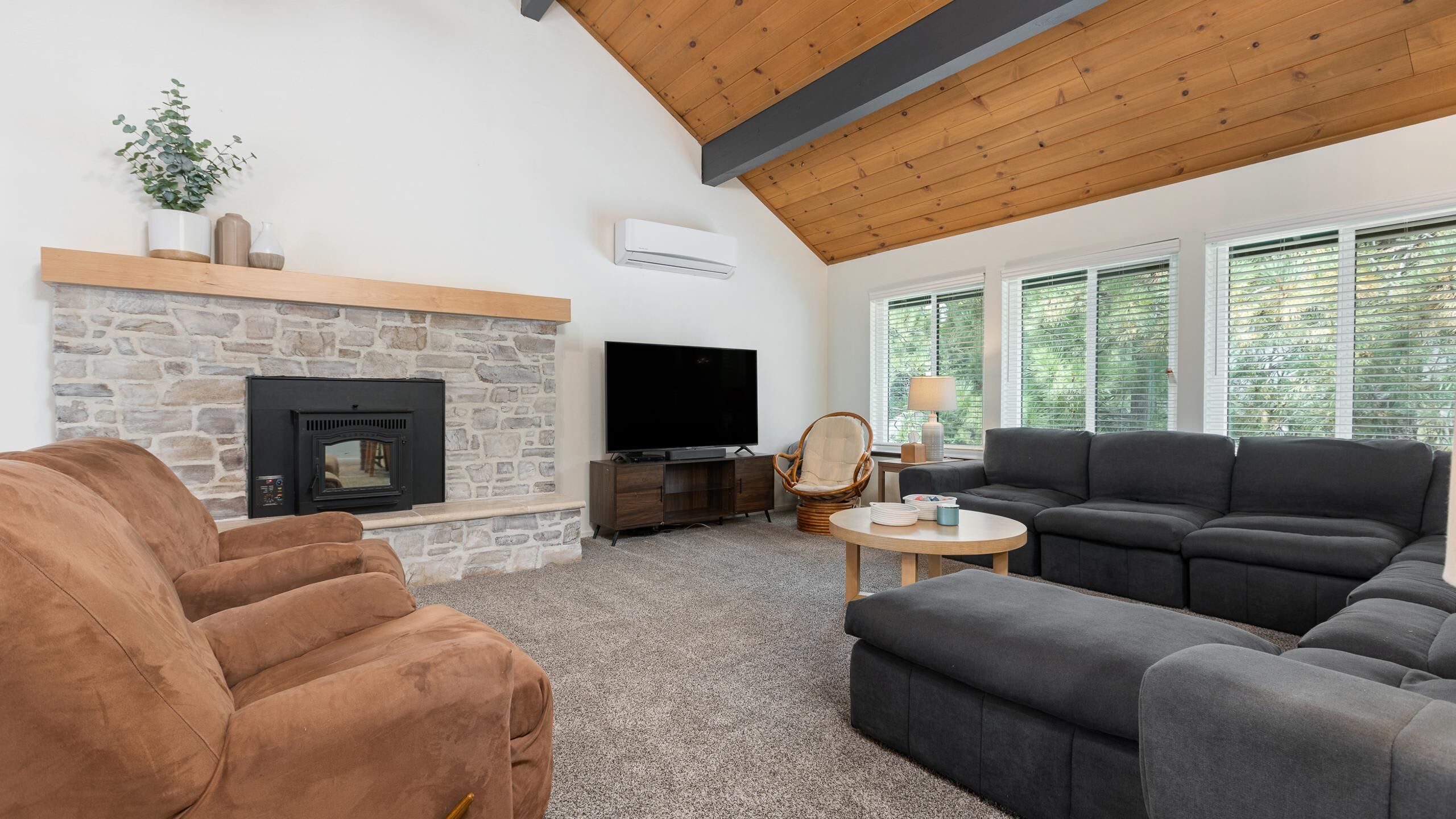 تلفزيون، مدفأة، كُتُب