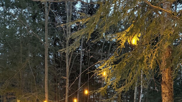 Eine Holzhütte mit verschneitem Äußeren, umgeben von einem Wald.