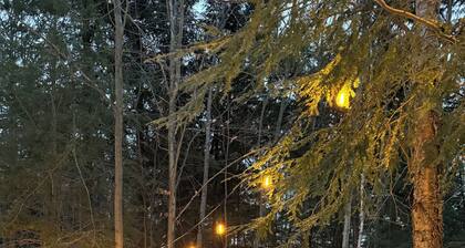 Bala Vida Cabin - Steps to Lake Muskoka w/ pond, fire pit & cedar barrel sauna âđŒ