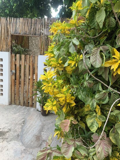 Casa Makech 2: La Escapada Perfecta para Explorar Valladolid