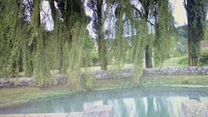 A serene pond surrounded by trees and stone walls.