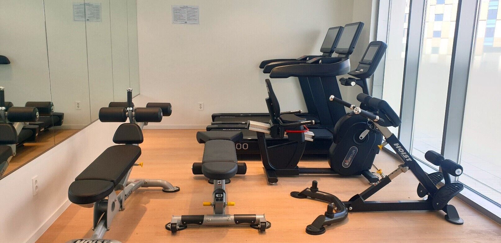Ein Fitnessstudio mit Trainingsgeräten, darunter Bänke, Kurzhanteln und Cardiogeräte.
