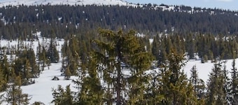 Begehrte Lage. An Loipe und Wanderwegen, Aussicht, Sauna, Kamin, 2 Bäder.
