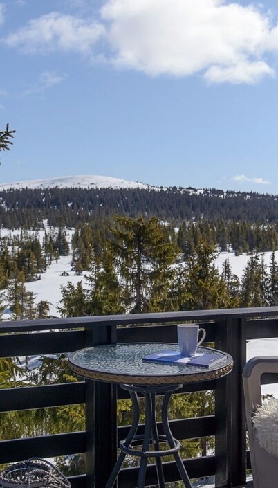 Alt und neu Kombiniert. Mehr Freiraum. Mehr Komfort. Bezugsfertig ab 11/2024