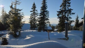 Paesaggio innevato con alti alberi sempreverdi e una struttura in legno.