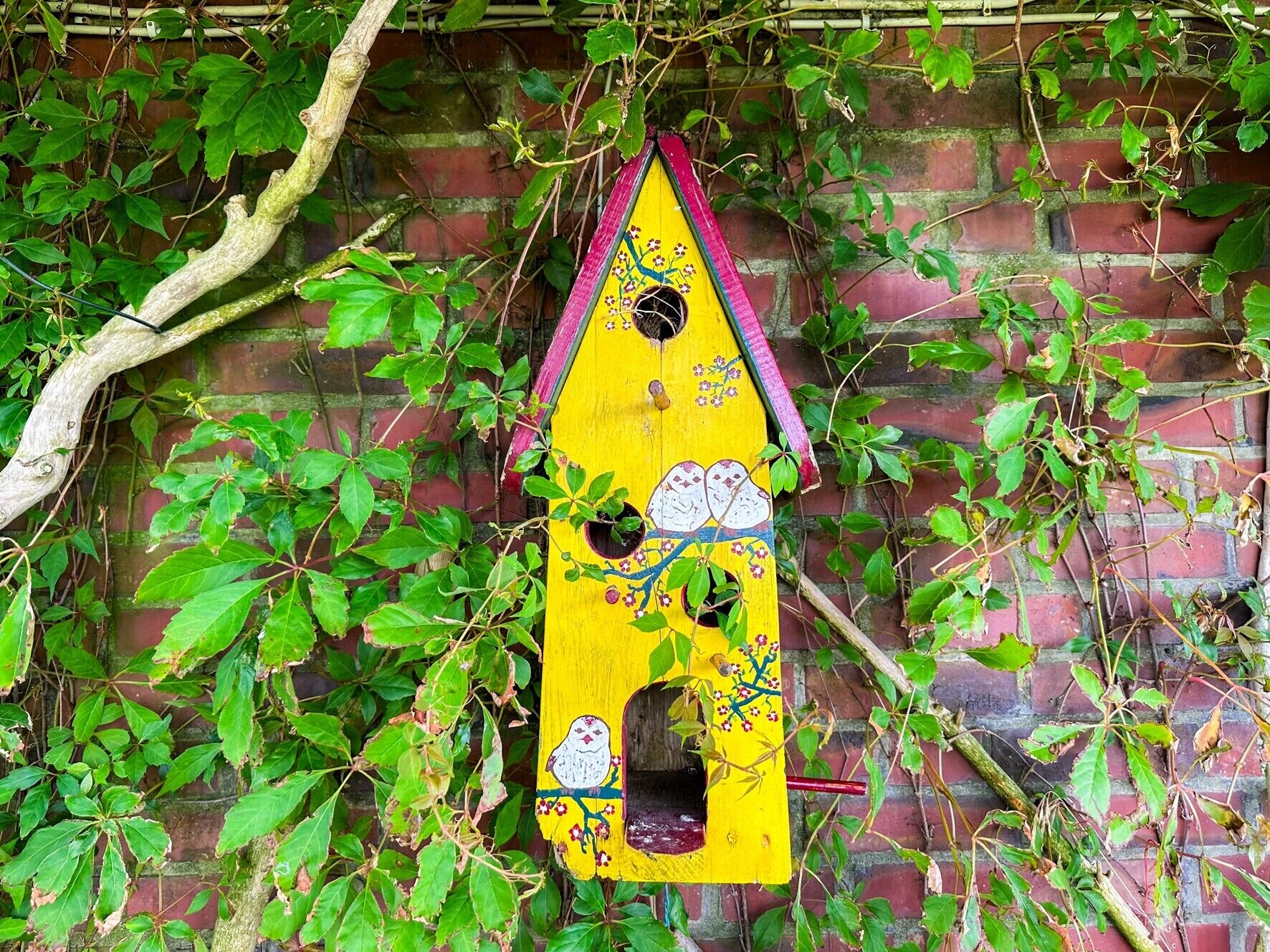 A birdhouse mounted on a brick wall with ivy.