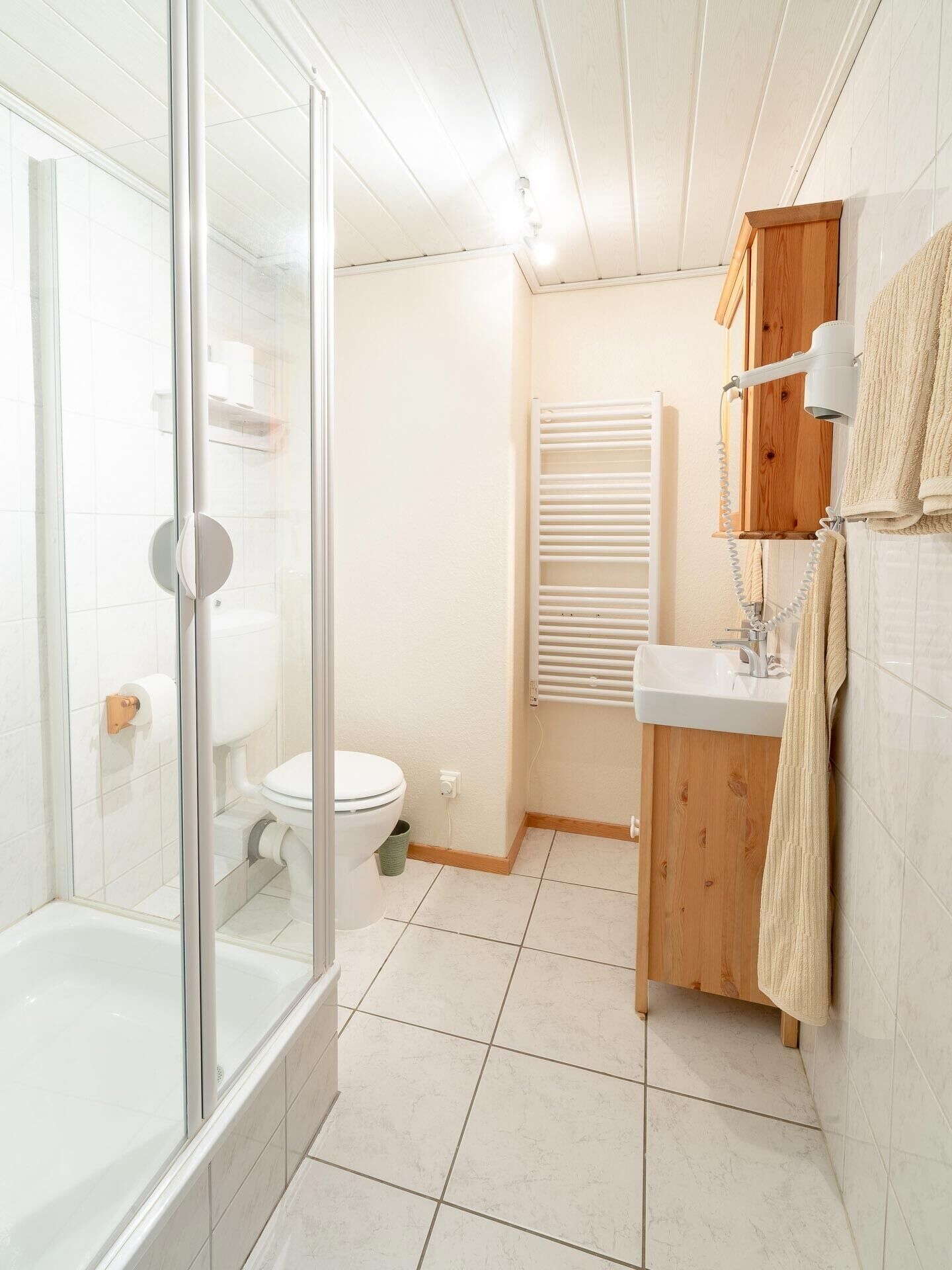 Dusche, Haartrockner, Handtücher