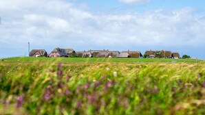Paisaje rural con casas tradicionales de techo de paja en una colina, rodeado de campos.