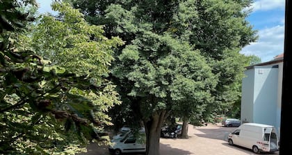 Zimmer 'Einzelzimmer B' mit Gemeinschaftsterrasse und Wi-Fi