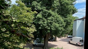 A parking area with trees and a white building.