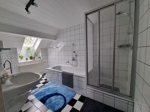 Shower, hair dryer, towels