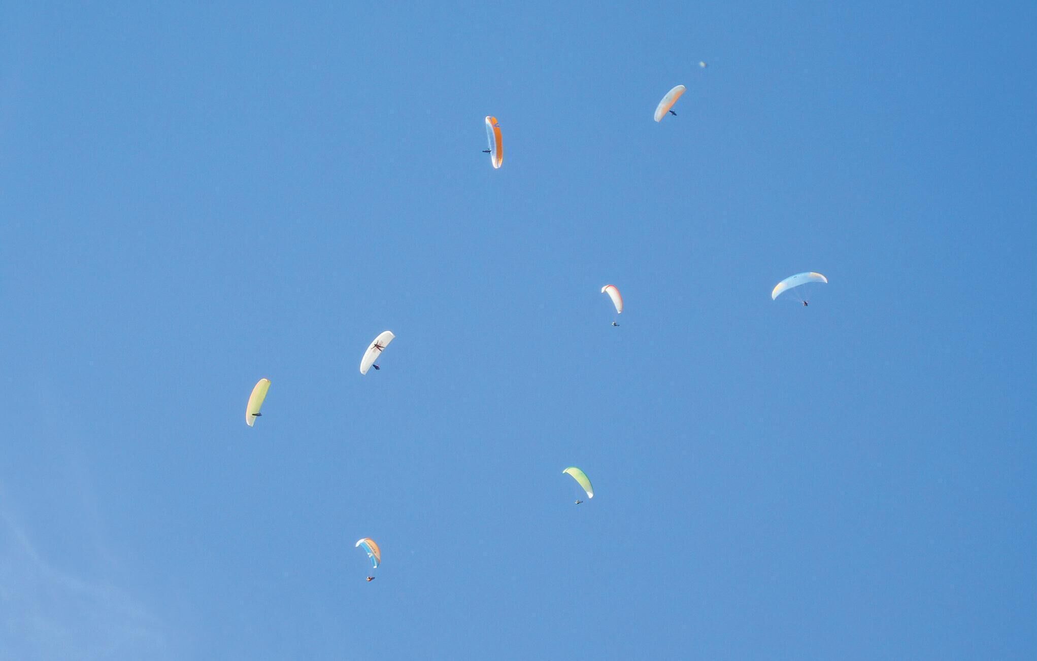 Un ciel bleu dégagé où l’on peut voir de nombreux parachutes déployés dans différentes positions.