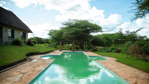 Una piscina con solana de piedra, rodeada de césped y una casa.
