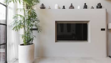 Televisión