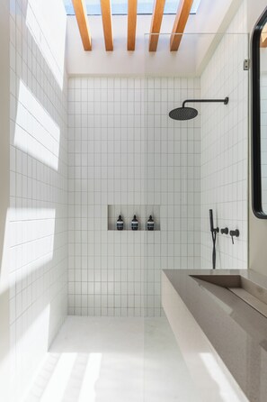 Enjoy a refreshing shower under a skylight with a contemporary showerhead and sink.