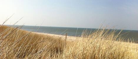 Accommodatie ligt op het strand