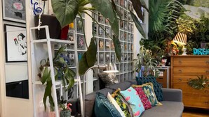 Ein Wohnzimmer mit grauem Sofa, bunten Kissen, einer weißen Regaleinheit mit Pflanzen und einer dekorativen Lampe.