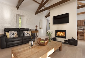 Smart TV, chimenea, libros y estéreo 