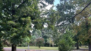 Ein Park mit befestigtem Weg, Bänken und einer Statue.