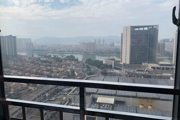 Vista desde la propiedad