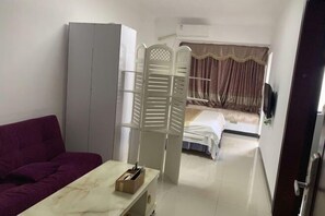 Una habitación con cama, armario, sofá y un separador con estantes.