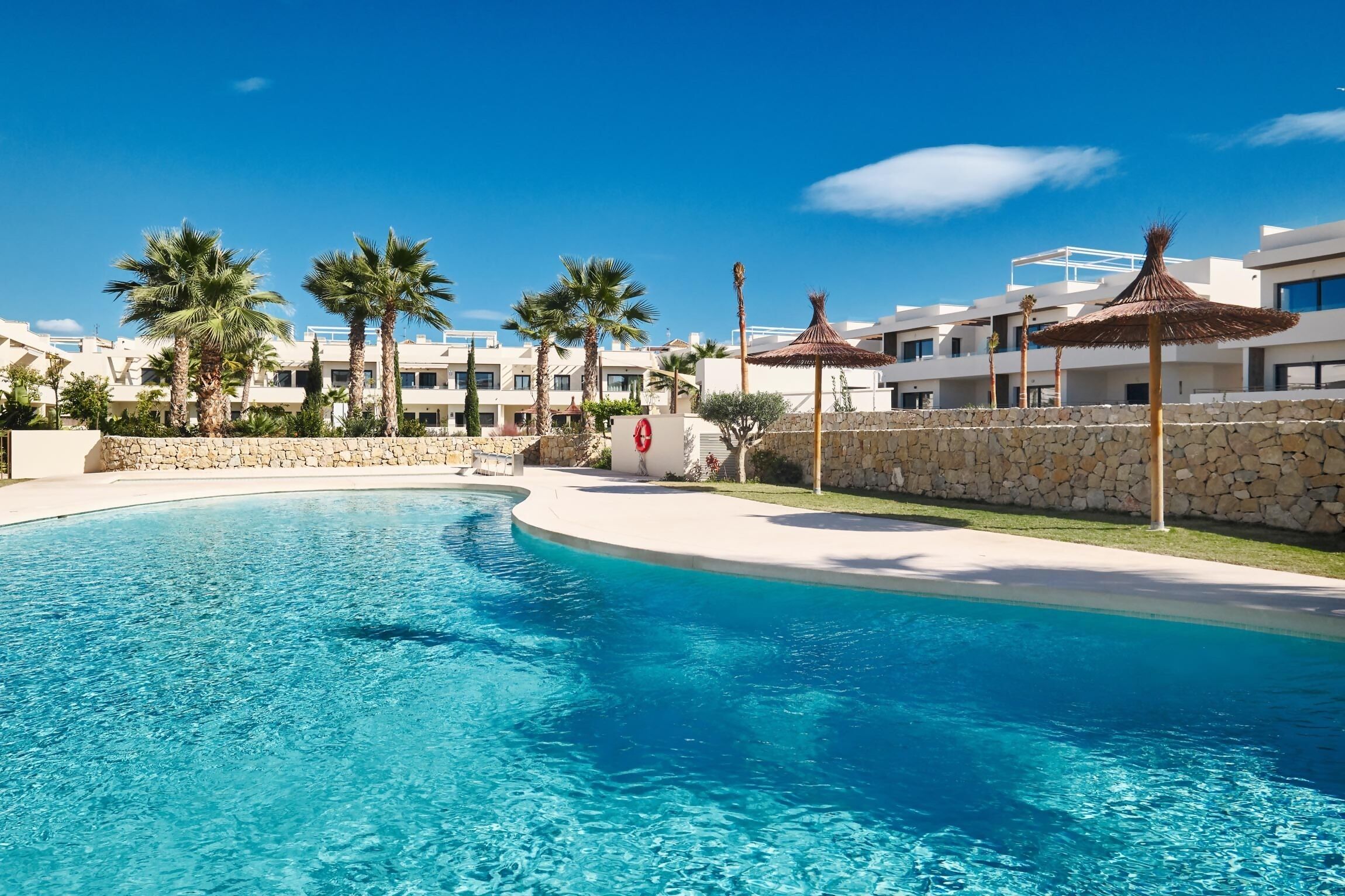 A swimming pool with a stone wall, palm trees, and modern buildings in the background.