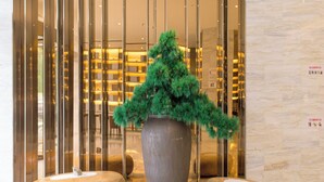 A reception area with a large potted tree, two wooden stools, and a glass partition with reflections. - Ji Hotel (Jiaxing)