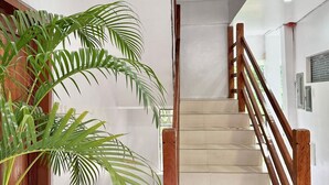 A staircase with wooden railings and a potted plant on the left.