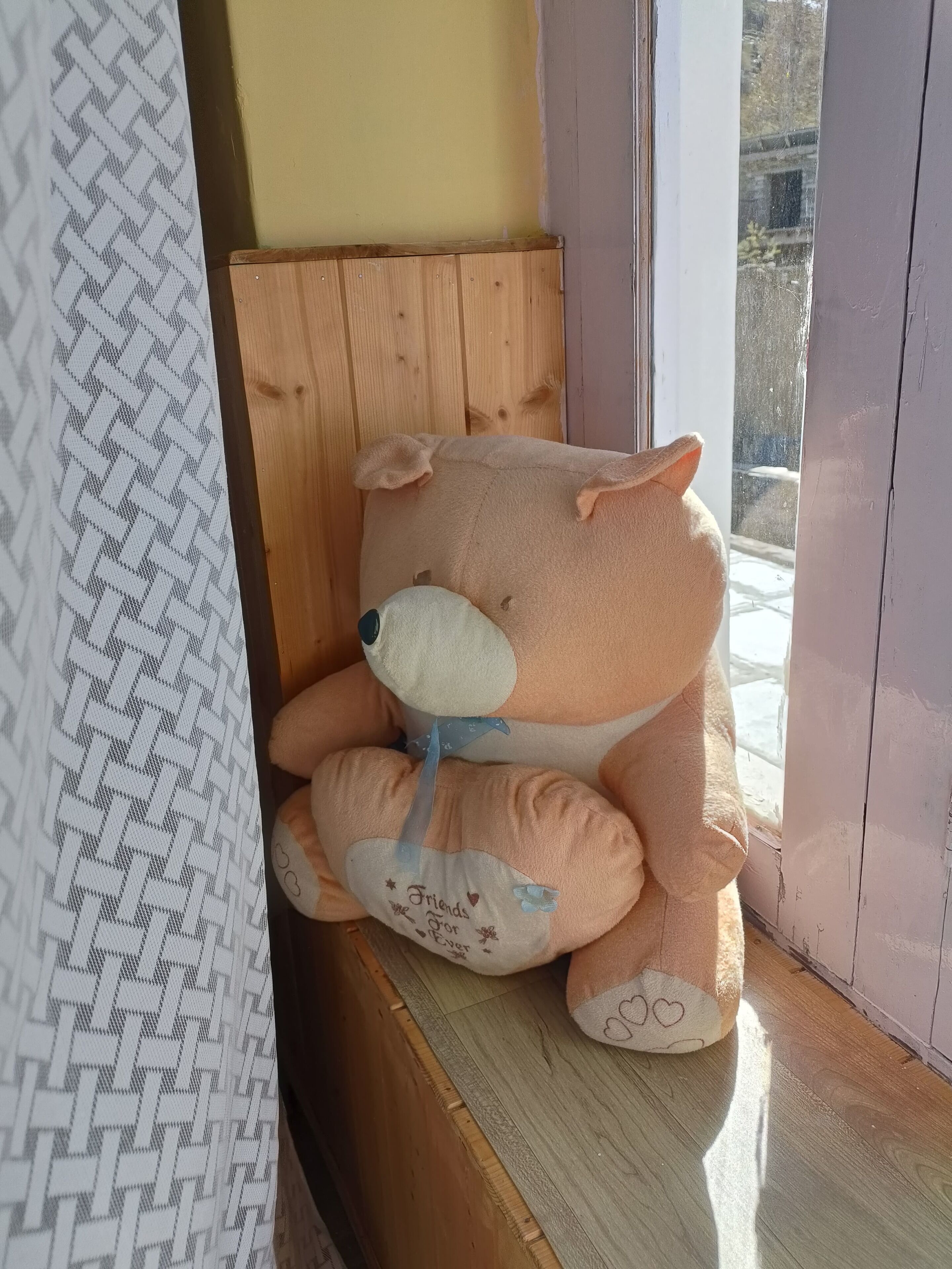 A plush bear sitting on a wooden bench by a window.
