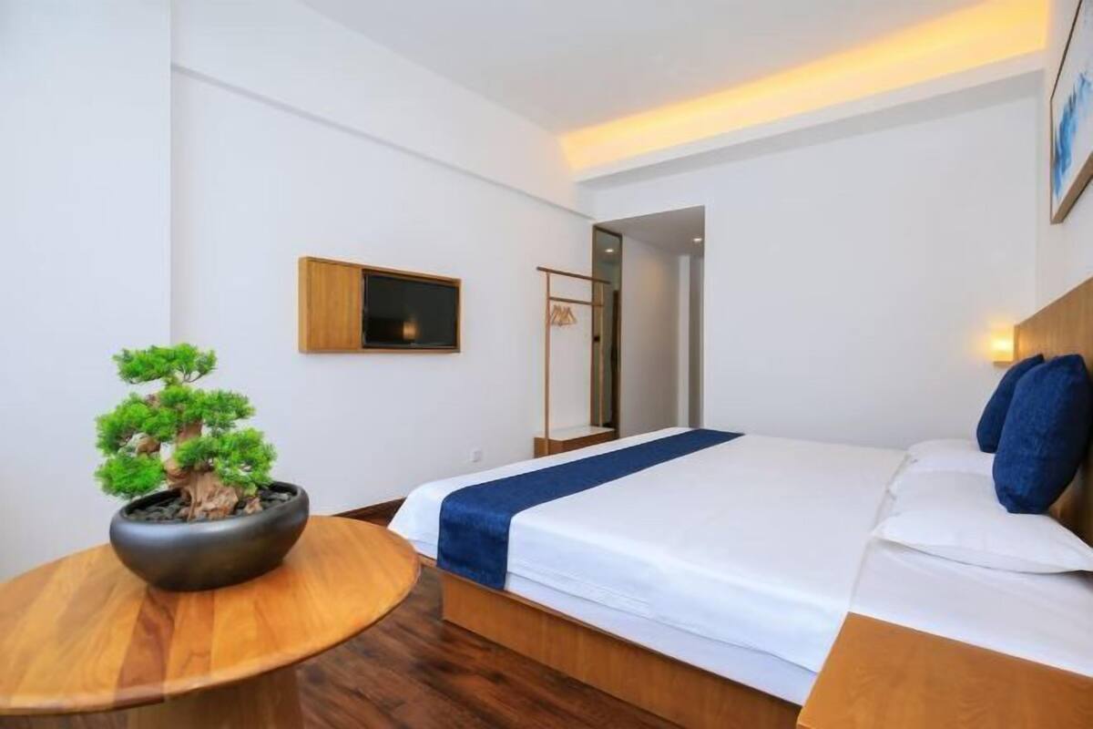 Een hotelkamer met een bed, een nachtkastje met een bonsai, een aan de muur bevestigde televisie, en een houten hoofdeinde.