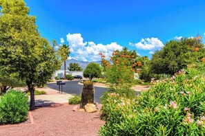 Un espace paysager agrémenté de diverses plantes et arbres, un chemin piétonnier dallé et un ciel d’un bleu éclatant.