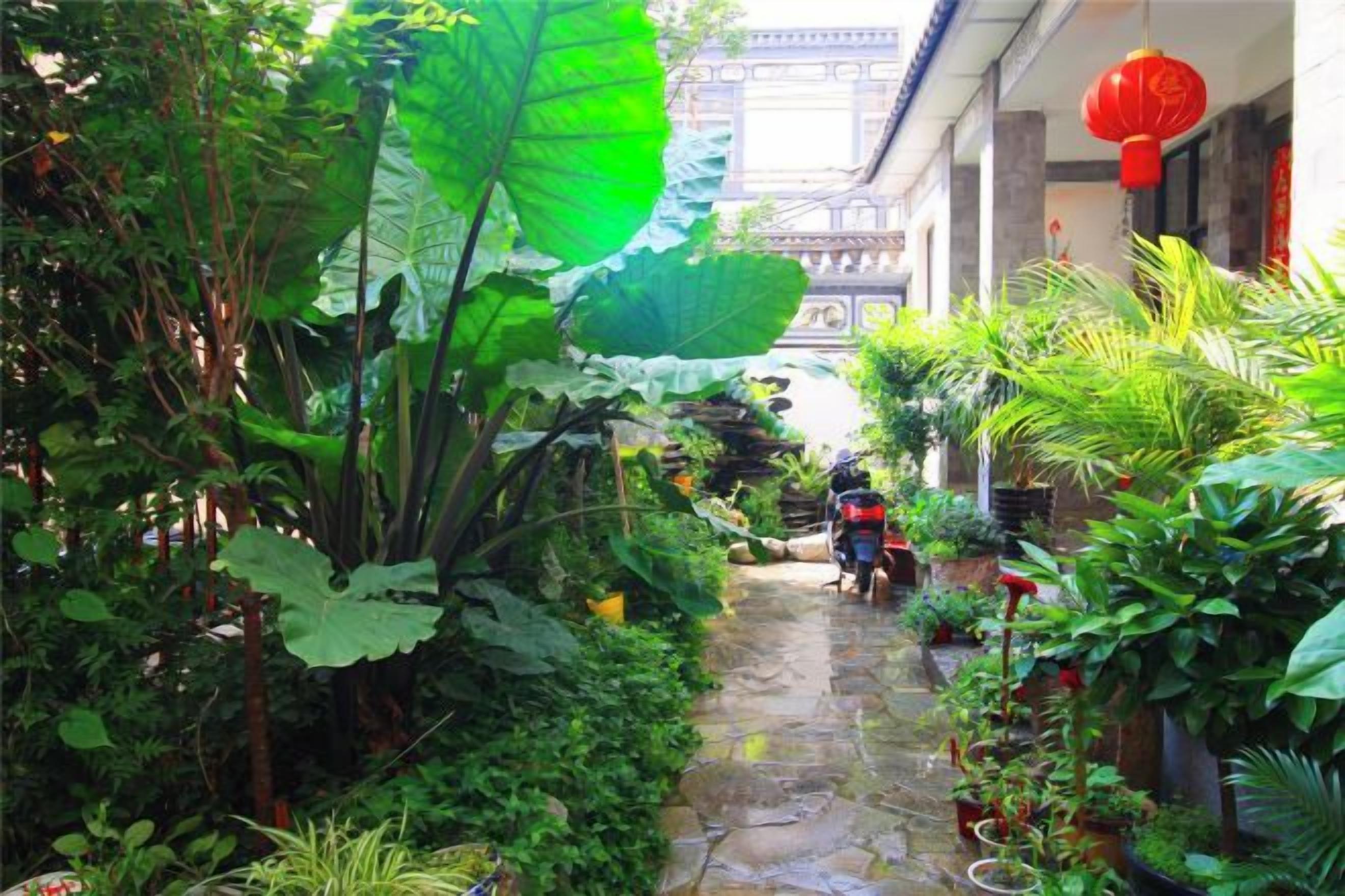 Un sendero estrecho bordeado de exuberante vegetación y plantas en macetas, que conduce a un edificio tradicional con arquitectura ornamentada.