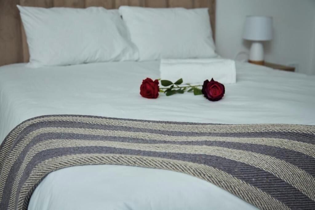 2 chambres, fer et planche à repasser, Wi-Fi, draps fournis