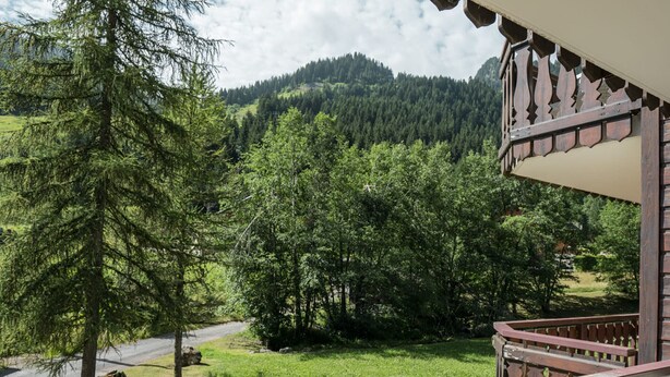 A balcony with a view of a forested valley and a road.