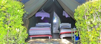 Rhino Tourist Camp