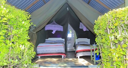 Rhino Tourist Camp