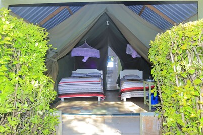 Rhino Tourist Camp