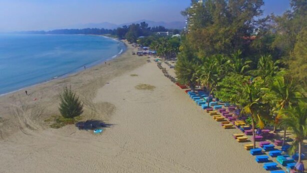 Una spiaggia con una fila di sedie a sdraio colorate e palme.