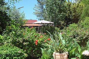Room, 1 Bedroom, Smoking, Balcony | Garden - Room-kritos Apartments-one Bedroom (Argaka)