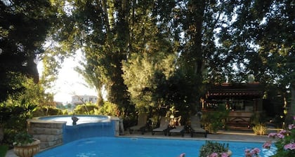 Room in Guest Room - Kritos Apartments-one Bedroom