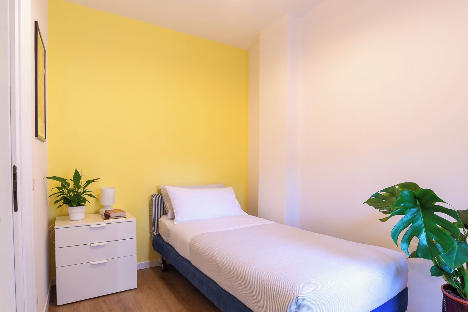 Ein kleines Zimmer mit einem Einzelbett, einer gelben Akzentwand, einem Nachttisch mit Lampe, einer Topfpflanze und einer großen Zimmerpflanze.
