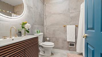 Regadera, secadora de cabello, toallas