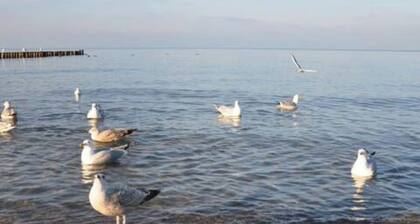 Unser Ostseehaus - gemütliches Apartment im Bauernhaus mit Garten