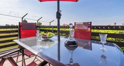 Holiday House Vilana With Jacuzzi