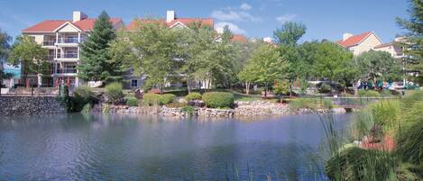 المنطقة المحيطة بالمنشأة