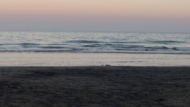 Una spiaggia con mare calmo e cielo sereno.