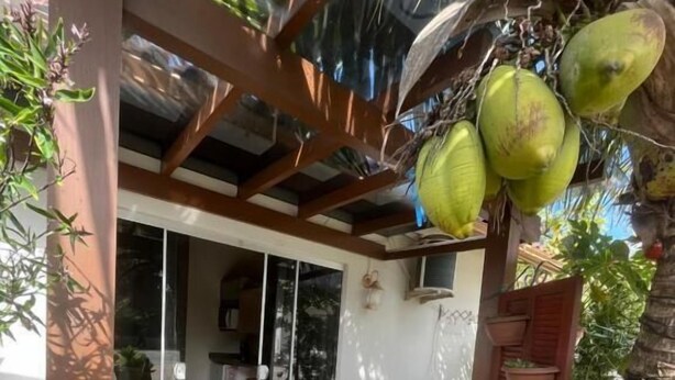 A wooden deck with a glass door leading to a room, surrounded by plants and a palm tree. - Pousada Recanto do Neca (Florianópolis)